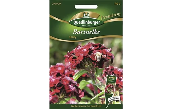 Gefüllte Bartnelke Samen Dianthus barbatus gefüllt GartenBaumschule