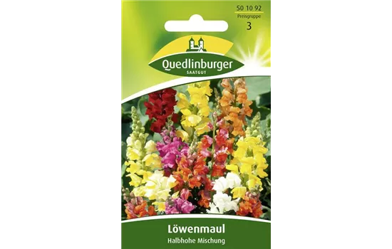 Zwerg Löwenmaul Samen Antirrhinum majus pumilu GartenBaumschule Becker