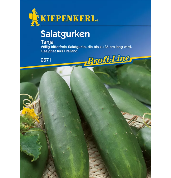 Gurke Tanja Cucumis Sativus Tanja Gartenbaumschule Becker