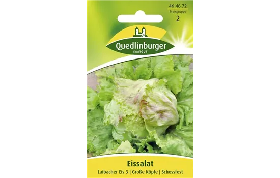 Batavia-Salat-Samen 'Laibacher Eis'