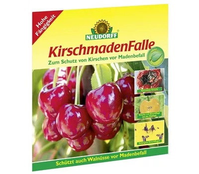 KirschmadenFalle