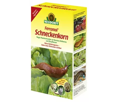 Schneckenkorn