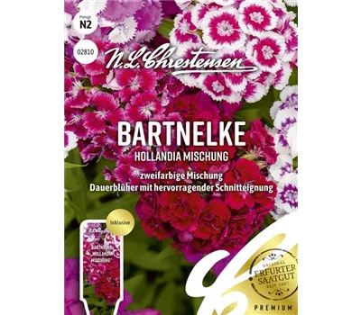 Bartnelkensamen 'Hollandia Mix'