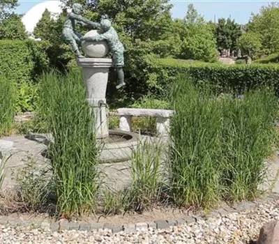 Gartengestaltung - Wasser- und Skulpturengarten