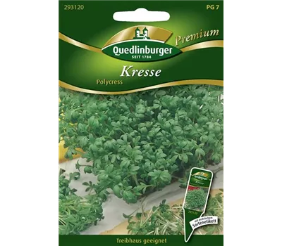 Gartenkressesamen 'Polycress'