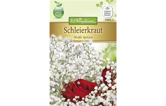 Garten-Schleierkraut-Samen 'Weiße Spitzen'