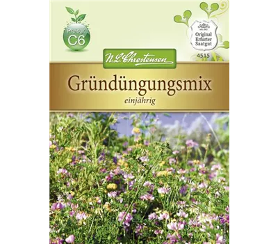 Gründungsmix-Samen