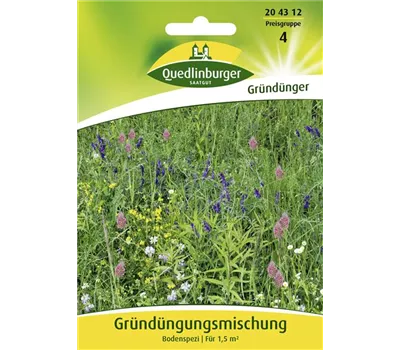 Gründüngung-Samen