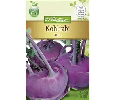 Kohlrabisamen 'Blaro'