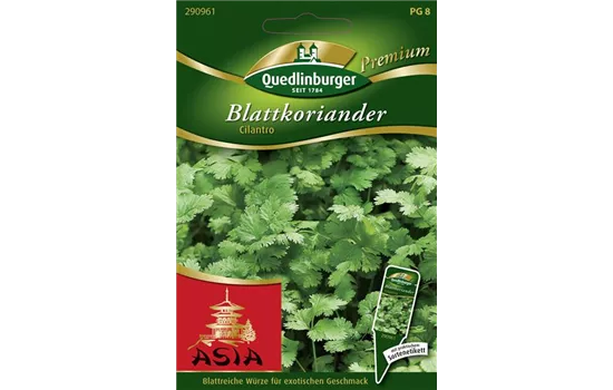 Koriandersamen 'Cilantro'