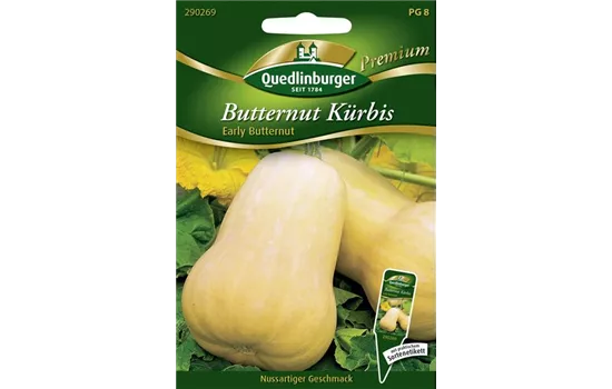 Kürbissamen 'Early Butter Nut F1'