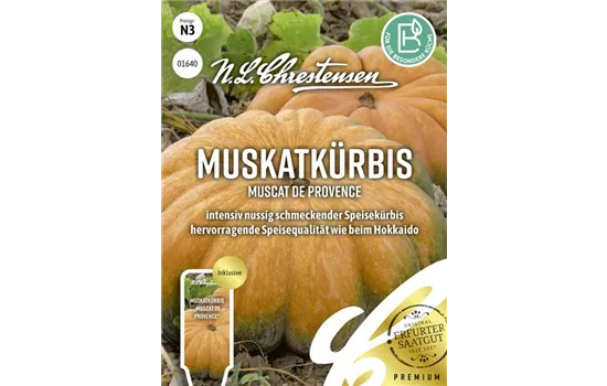 Kürbissamen 'Muscat de Provence'