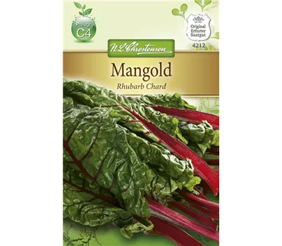 Mangoldsamen 'Rhubarb Chard'