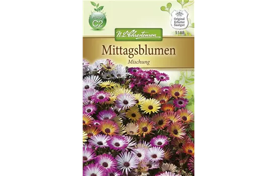 Mittagsblumensamen