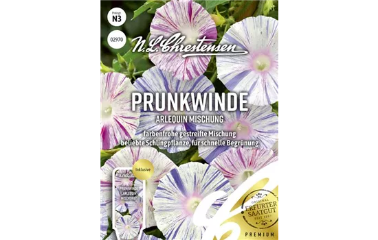 Prunkwindensamen 'Arlequin'