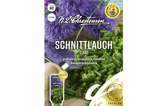 Schnittlauchsamen 'Staro'