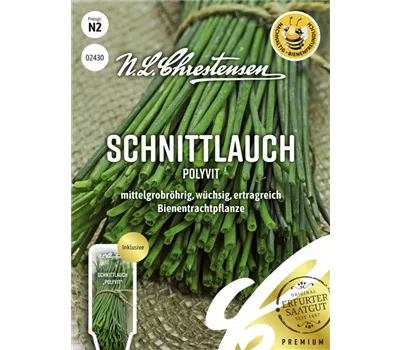 Schnittlauchsamen 'Polyvit'