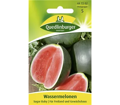 Wassermelonensamen 'Sugar Baby'