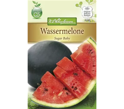 Wassermelonensamen 'Sugar Baby'