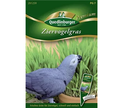 Ziervogelgrassamen