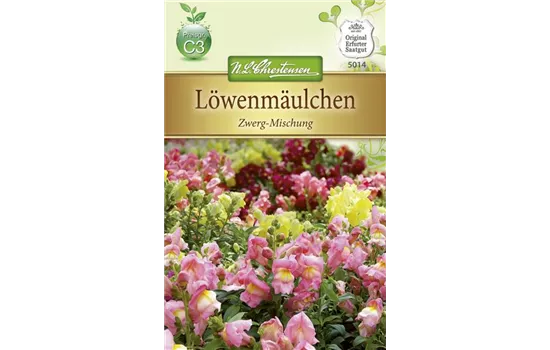 Zwerg-Löwenmaul-Samen