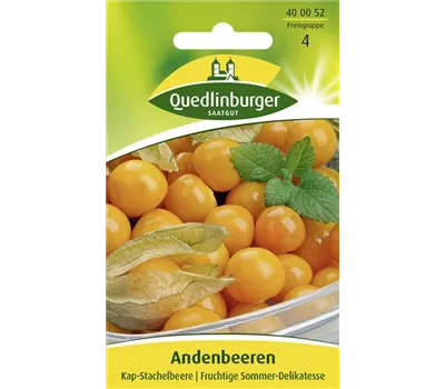 Andenbeerensamen