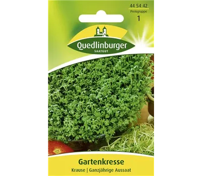 Gartenkressesamen 'Krause'