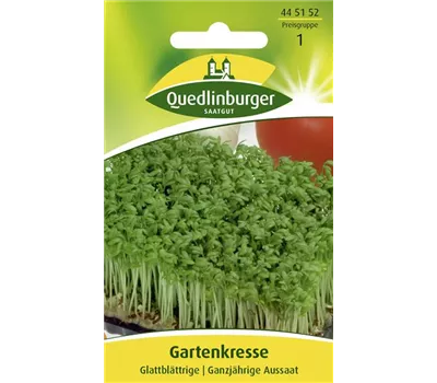 Glattblättrige Gartenkresse-Samen