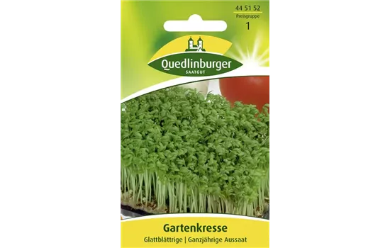 Glattblättrige Gartenkresse-Samen