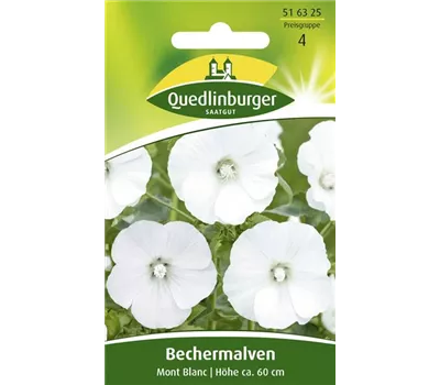 Bechermalvensamen 'Mont Blanc'