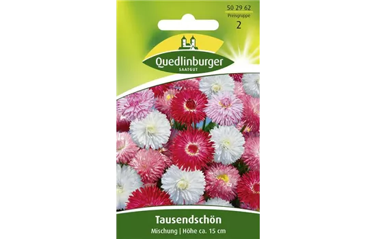 Gänseblümchensamen