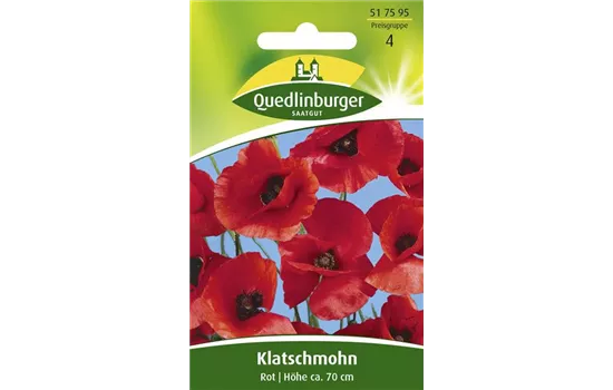 Klatsch-Mohn-Samen