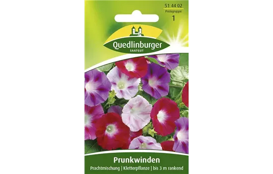 Prunkwindensamen 'Prachtmischung'