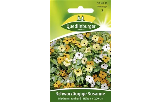 Schwarzäugige Susanne-Samen