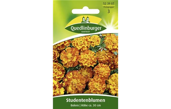 Studentenblumensamen 'Bolero'