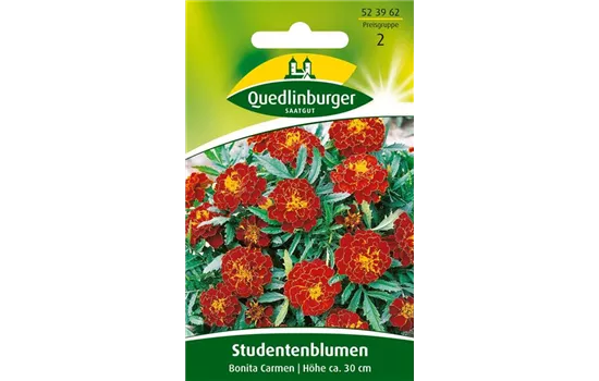 Studentenblumensamen 'Carmen'