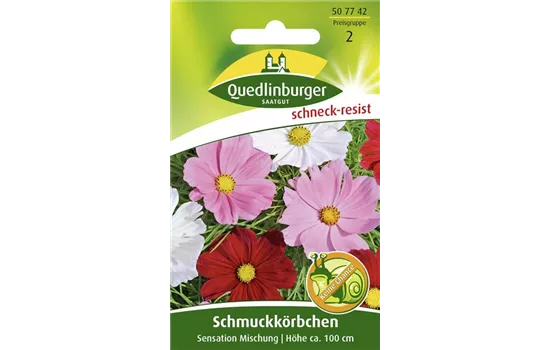 Schmuckkörbchensamen