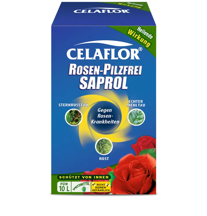 Celaflor