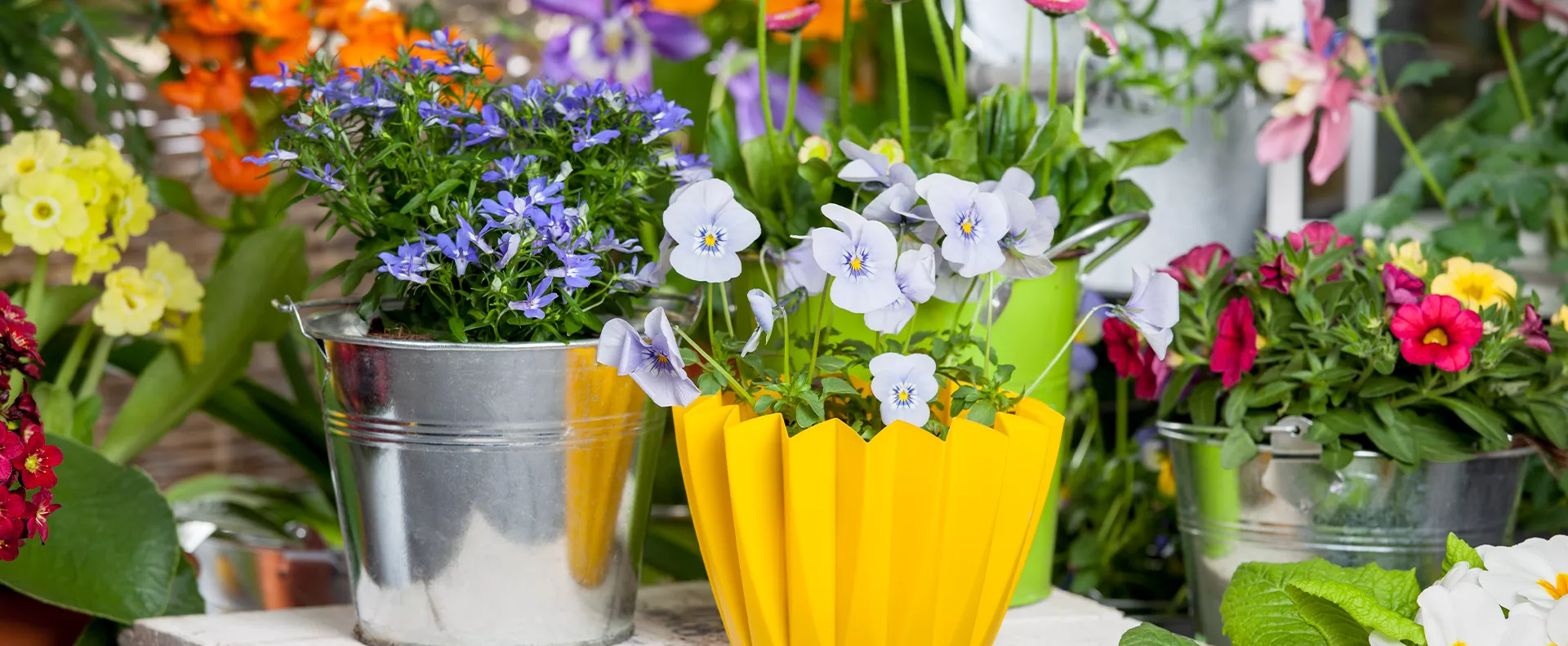 GSMW_Shop-the-Look_Balkon-und-Terrasse-Fruehjahr.png