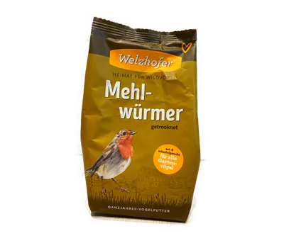 Mehlwürmer