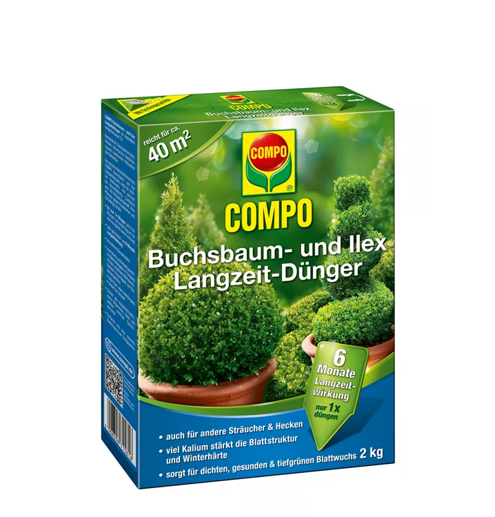 Compo Buchsbaum- und Ilex Langzeit-Dünger 