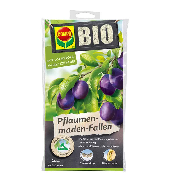 Compo BIO Pflaumenmaden-Falle 