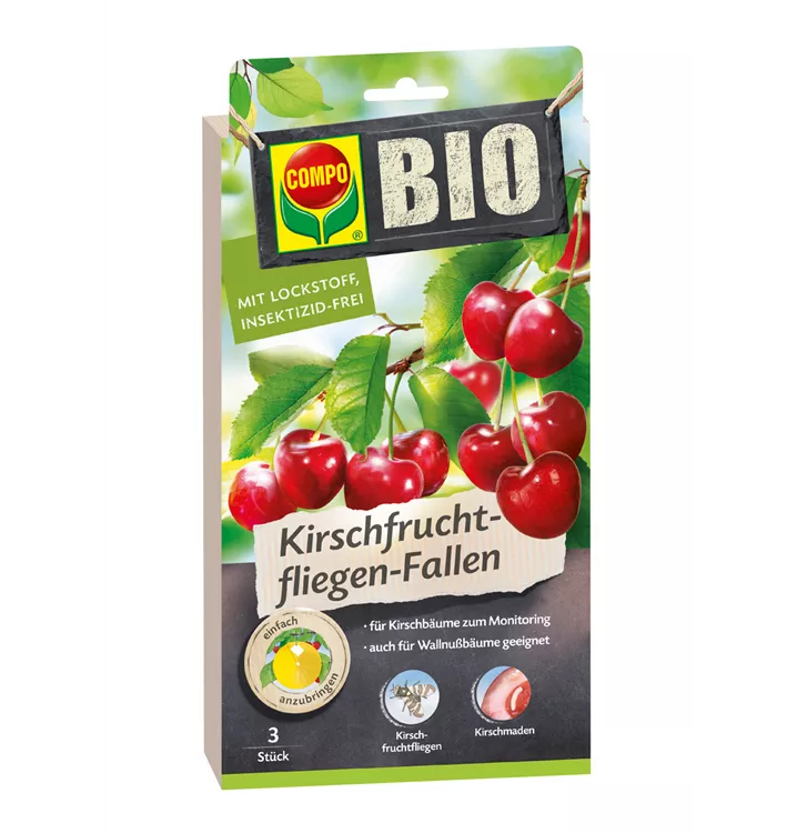 Compo BIO Kirschfruchtfliegen-Falle 