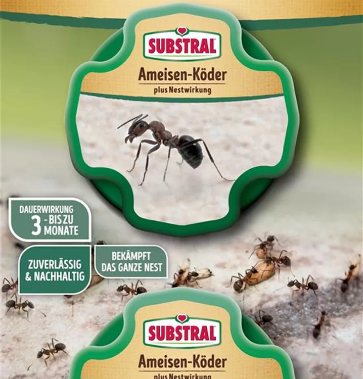 Substral Ameisen-Köder Plus Nestwirkung