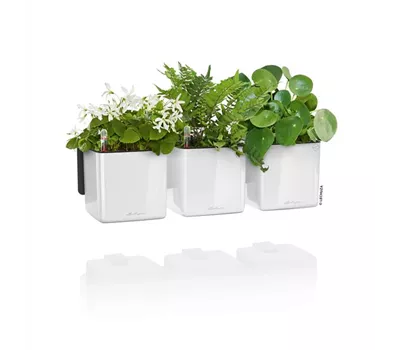 LECHUZA Green Wall Home Kit Glossy 