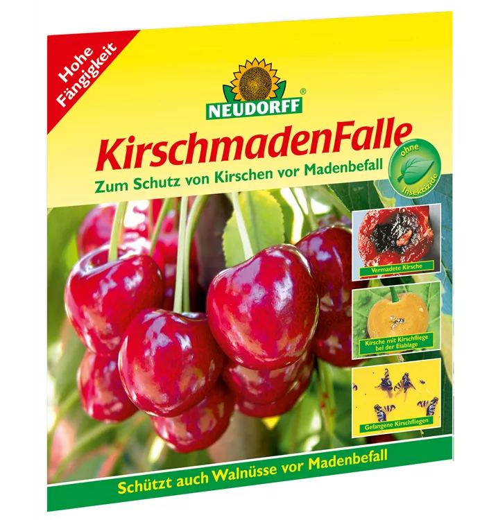 WalnussFruchtfliegen-Falle