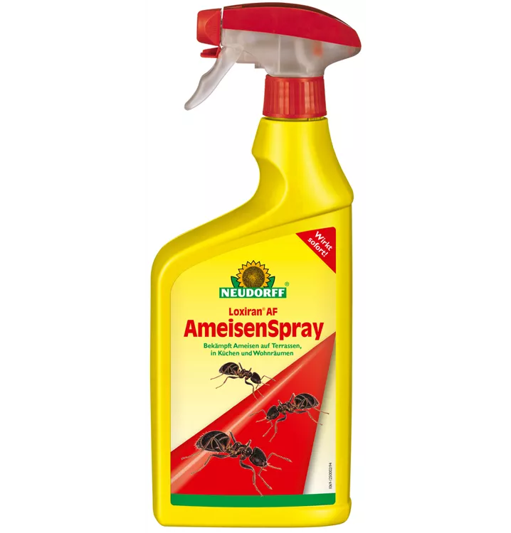 anwendungsfertiges Spray gegen Ameisen im Haus, rund um das Haus und auf Terrassen