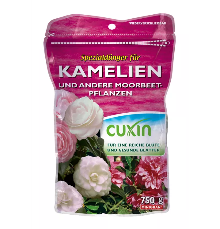 Cuxin WF Kamelien