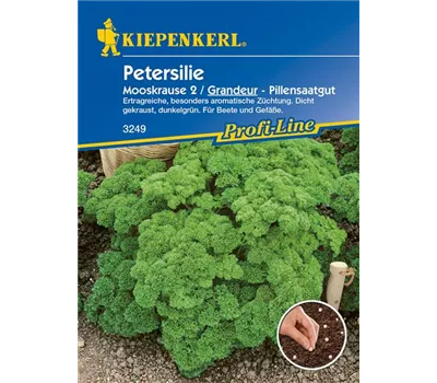 Krause Petersilie 'Grandeur'