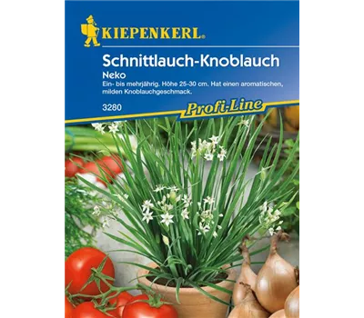 Schnittknoblauch 'Neko'